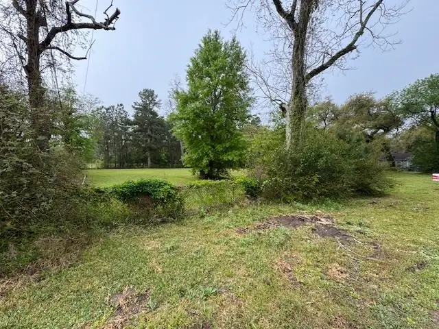 10685 Old Voth Road, Beaumont, TX 77713 - #3
