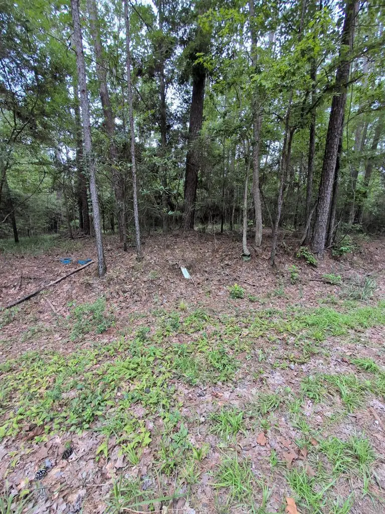 PID33824 Amblewood Drive, Brookeland, TX 75931 - #1