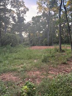 363 Harbor Blvd, Hemphill, TX 75948 - #1