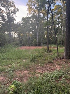 363 Harbor Blvd, Hemphill, TX 75948 - #2