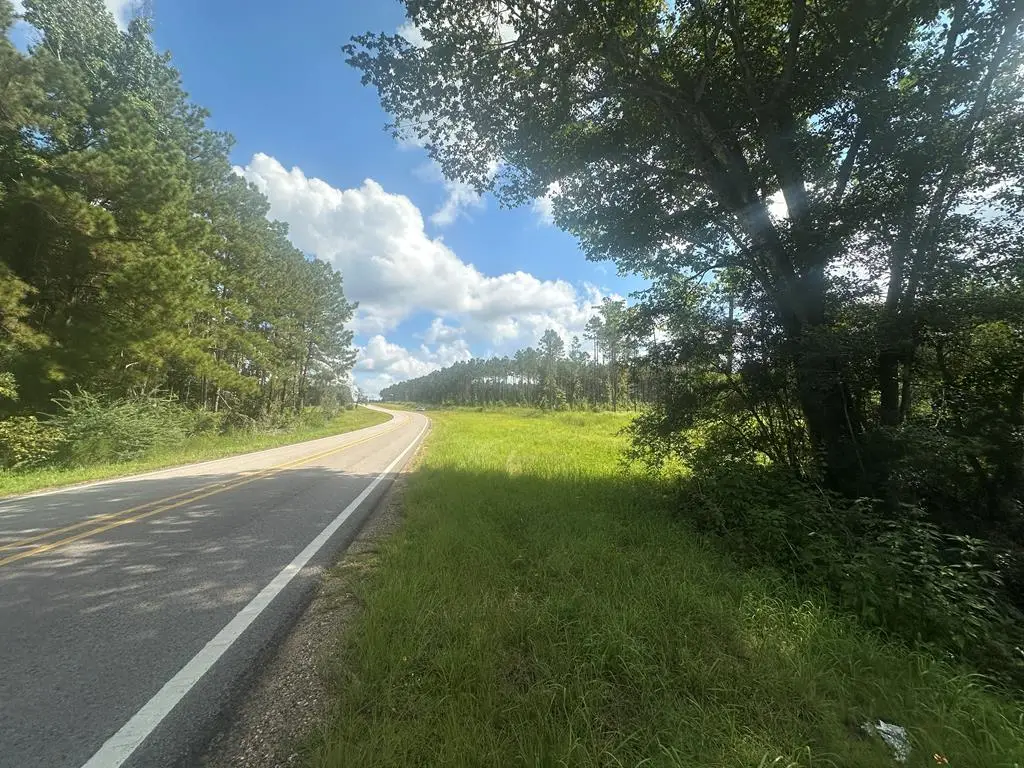00 Fm 1005, Jasper, TX 75951 - #1