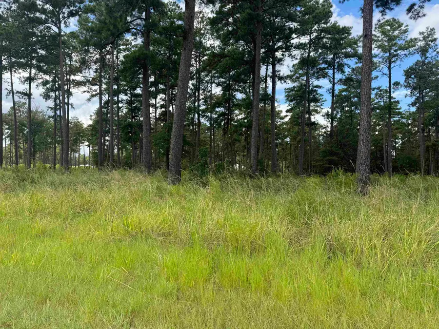 Lot 030 Pr 6026, Brookeland, TX 75931 - #2