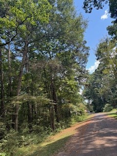 222 Ensign Drive, Hemphill, TX 75948 - #2
