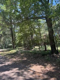 252 Ensign Drive, Hemphill, TX 75948 - #1