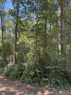 252 Ensign Drive, Hemphill, TX 75948 - #3