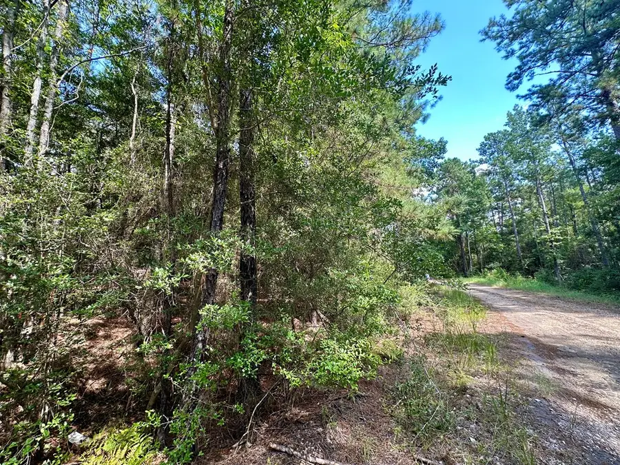 PID 34185-34186 Drywood Lane, Brookeland, TX 75931 - #3