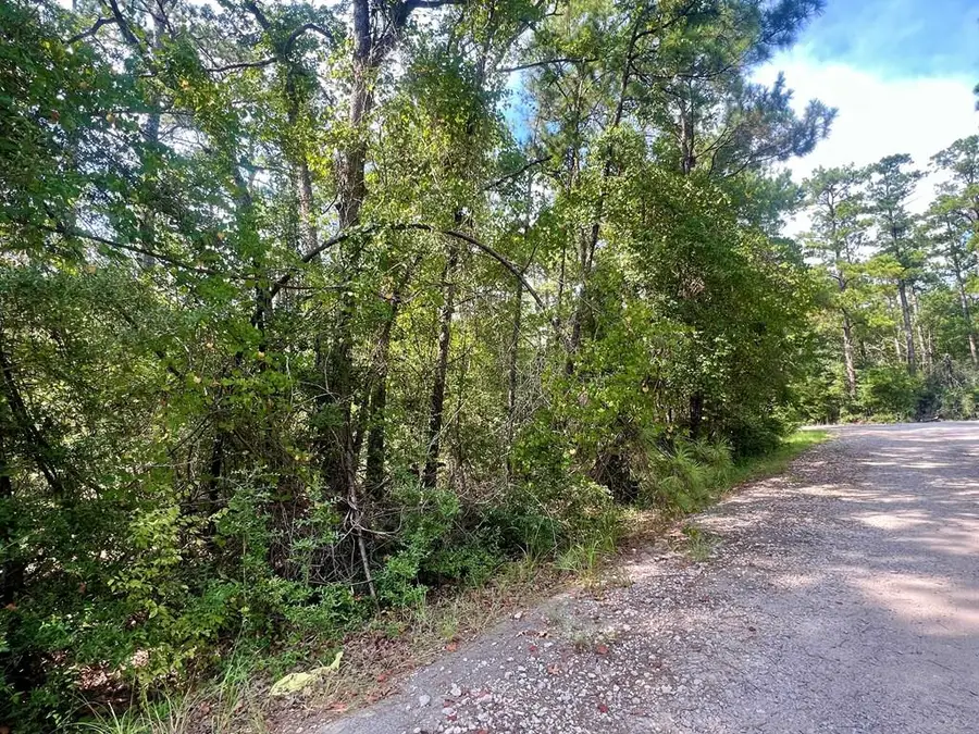PID 32963 Brentwood Drive, Brookeland, TX 75931 - #3