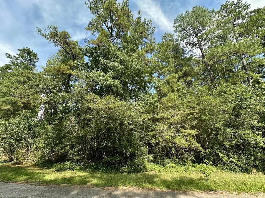 PID 31938 Post Oak Lane, Brookeland, TX 75931 - #2