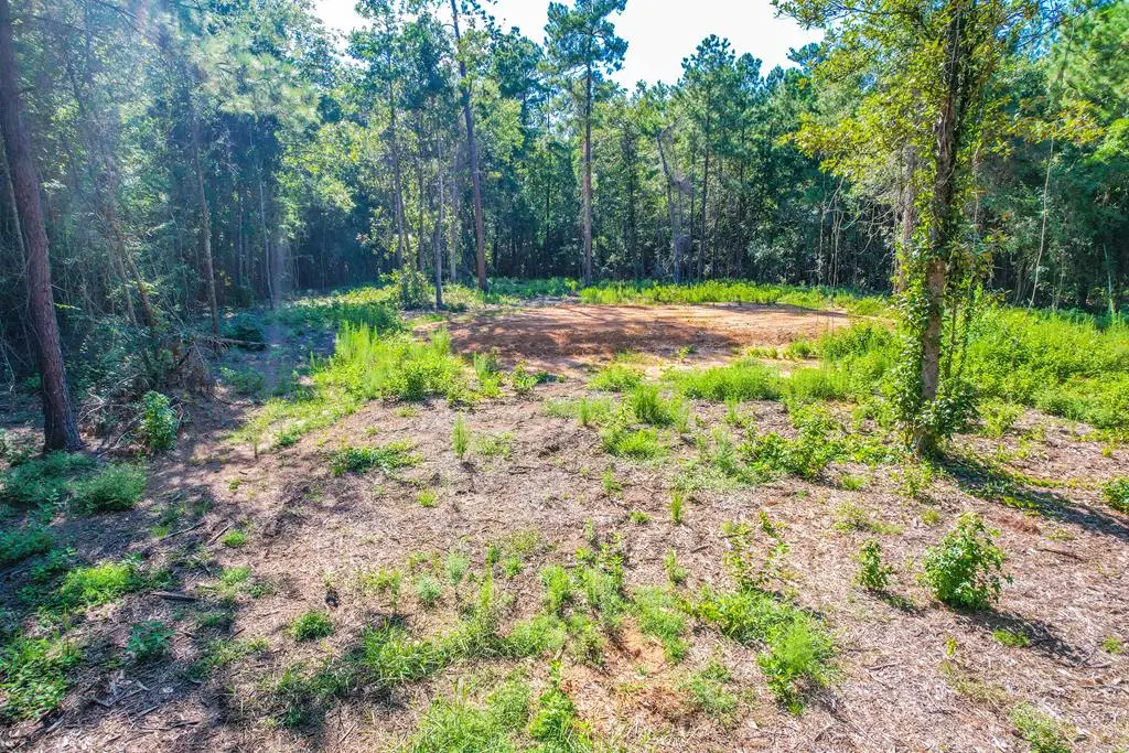 445 County Road 061, Jasper, TX 75951 - #1