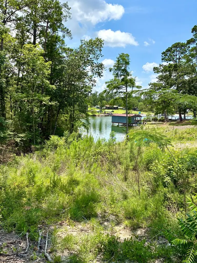 143 Whispering Pine Drive, Burkeville, TX 75932 - #3