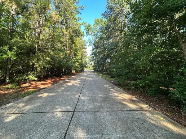 LOT 16 Forse St, Woodville, TX 75979