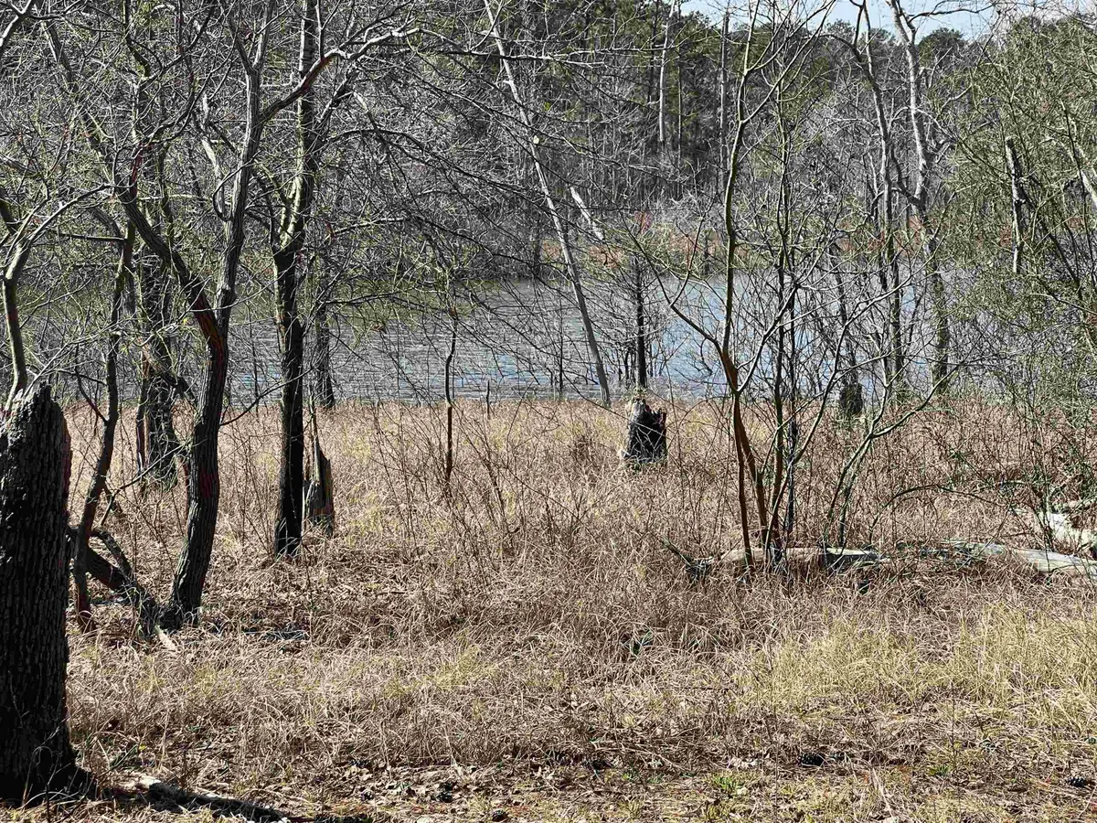 Lot 028 Pr 6028, Brookeland, TX 75931 - #1