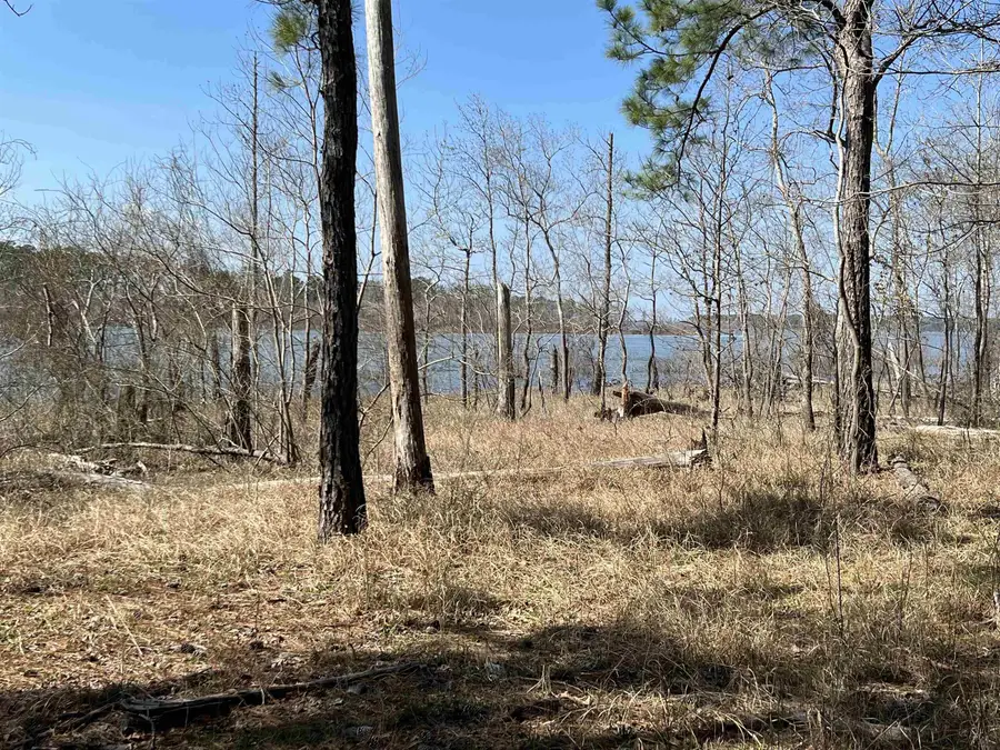 Lot 028 Pr 6028, Brookeland, TX 75931 - #2