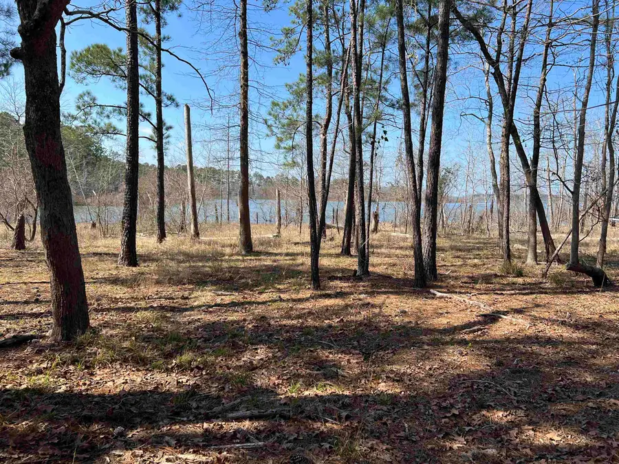 Lot 028 Pr 6028, Brookeland, TX 75931 - #3