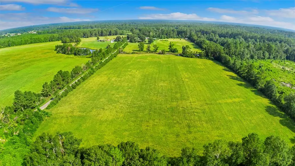 4725 County Road 3068, Call, TX 75933 - #1