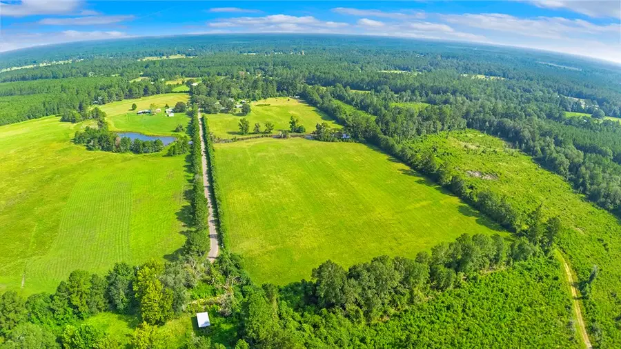4725 County Road 3068, Call, TX 75933 - #3