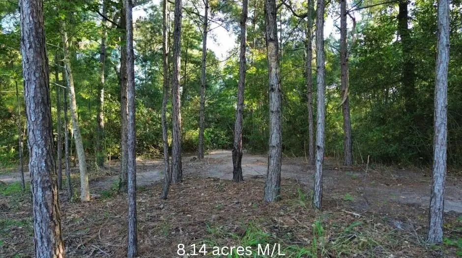 R97410 Carrell Road, Lufkin, TX 75901 - #1