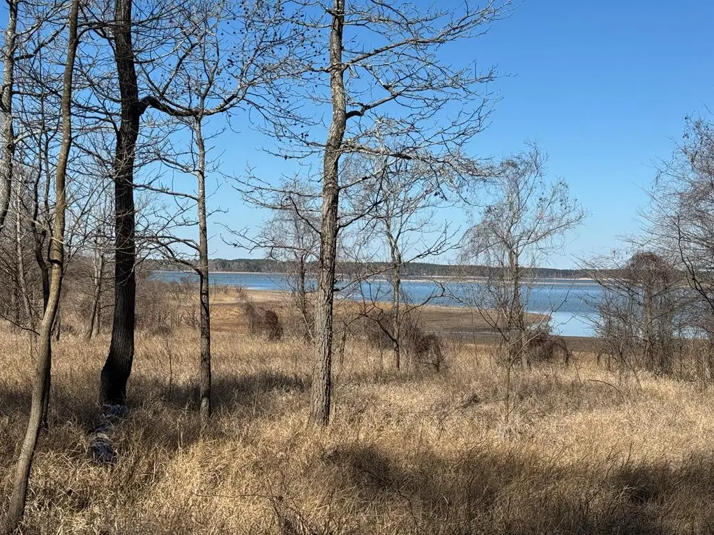 Lot 021 Pr 6028, Brookeland, TX 75931 - #1