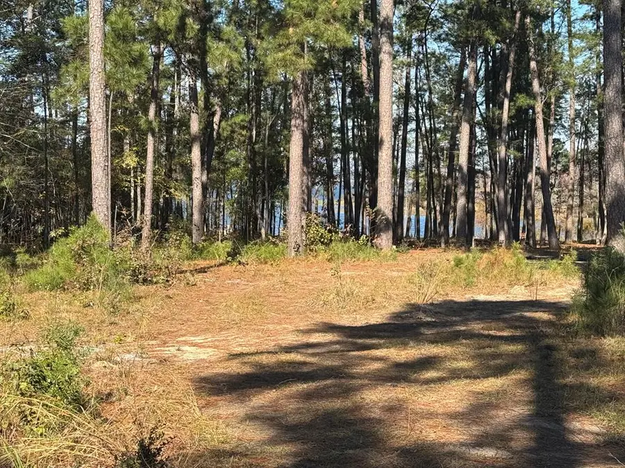 Lot 021 Pr 6028, Brookeland, TX 75931 - #3