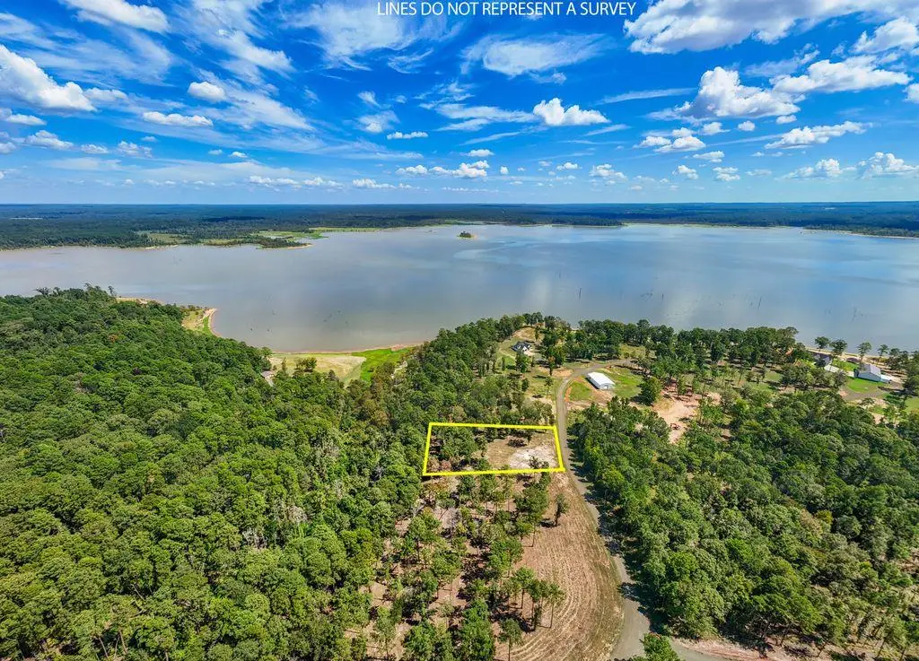 ID#006032655 Old Bell Place Road, Bronson, TX 75930 - #1