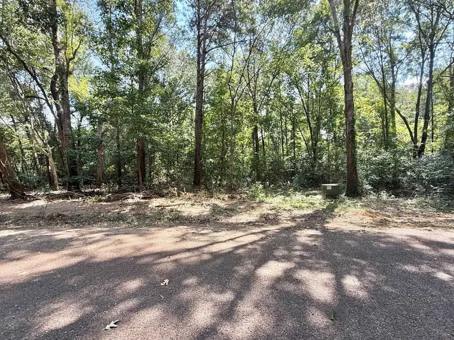 Lot: 321 Kingfisher Drive, Hemphill, TX 75948 - #2