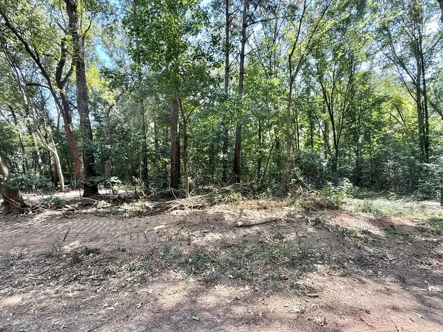 Lot: 321 Kingfisher Drive, Hemphill, TX 75948 - #3