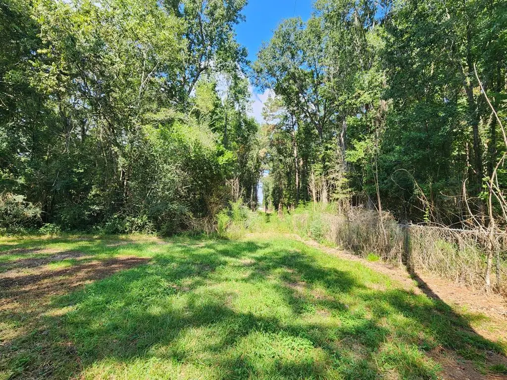 CAD 5125 W Us Hwy 190, Jasper, TX 75951 - #1