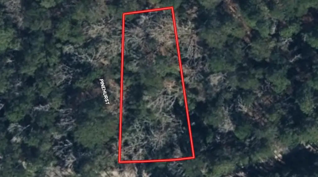 R32815 Idlewood, Brookeland, TX 75931 - #1