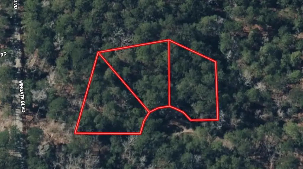 R33490 Burrow Lane, Brookeland, TX 75931 - #1