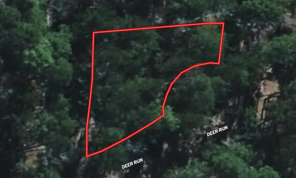 R34125 Deer Run Lane, Brookeland, TX 75931 - #1