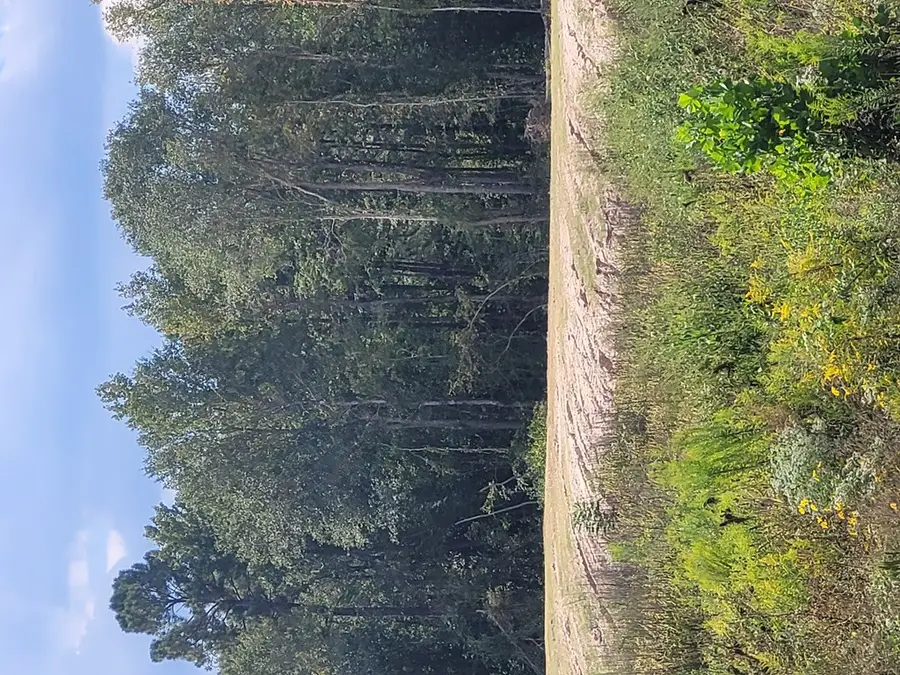0 Highway 69 S, Lufkin, TX 75901 - #2