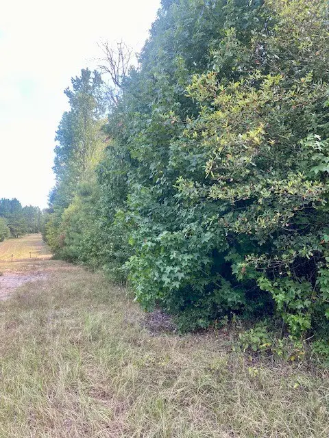 943 Post Oak Road, Lufkin, TX 75904 - #3
