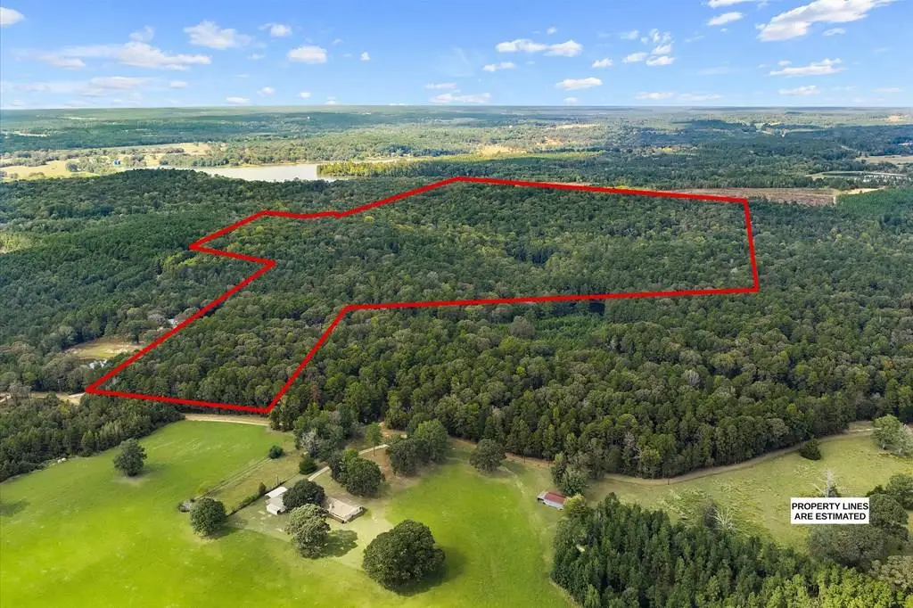 634 County Road 176, San Augustine, TX 75972 - #1