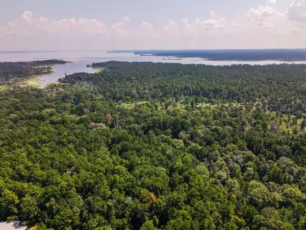 TBD Roland Rd, Zavalla, TX 75980