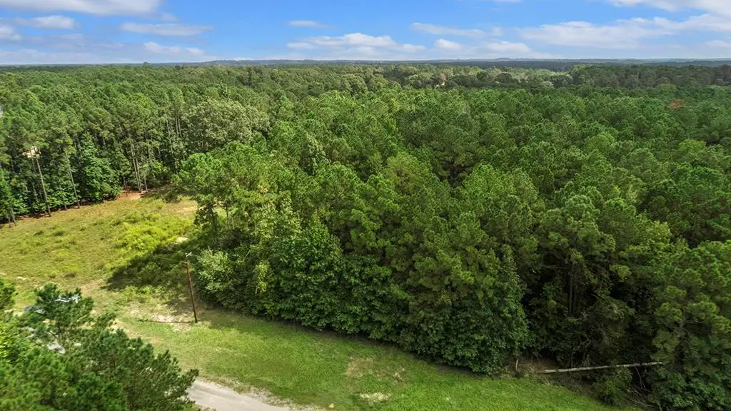255 County Road 222a, Brookeland, TX 75931 - #1