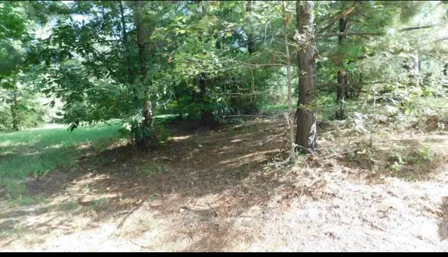 509 Eagle Estates, Hemphill, TX 75948 - #2