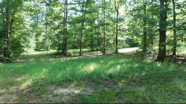 509 Eagle Estates, Hemphill, TX 75948 - #3