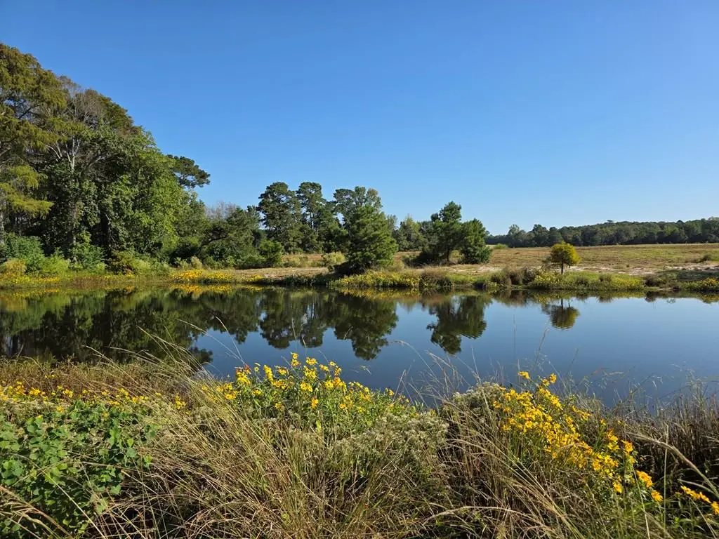 5762 W Tx Hwy 63, Jasper, TX 75951 - #1