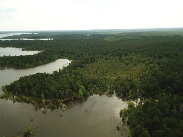 Lot 011 Private Rd 6028, Brookeland, TX 75931 - #1