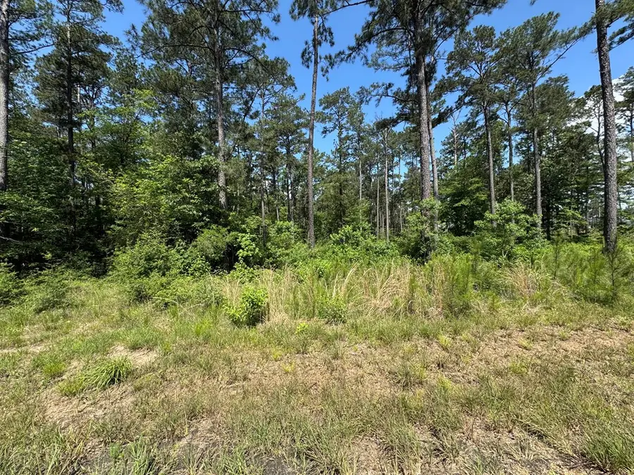 Lot 011 Private Rd 6028, Brookeland, TX 75931 - #2