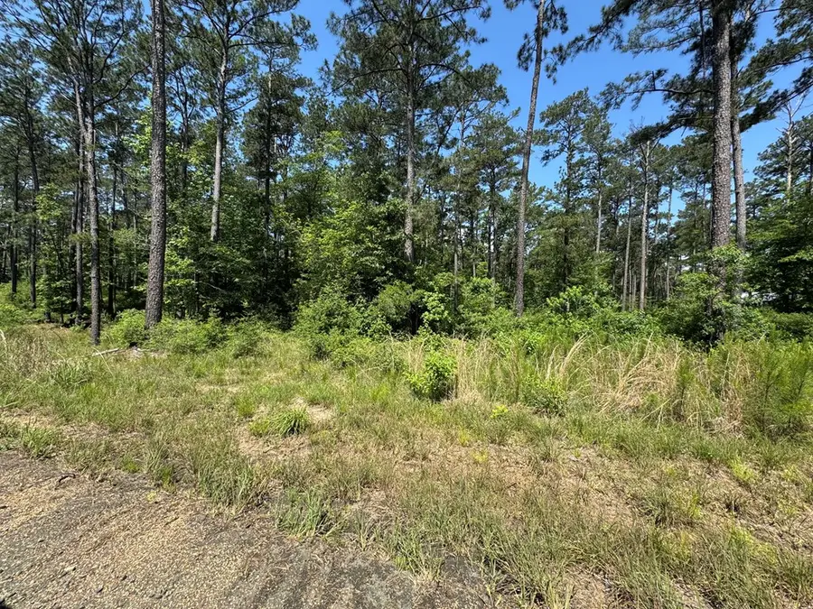 Lot 011 Private Rd 6028, Brookeland, TX 75931 - #3