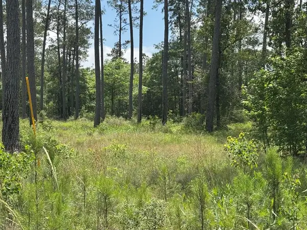 Lot 010 Private Rd 6028, Brookeland, TX 75931