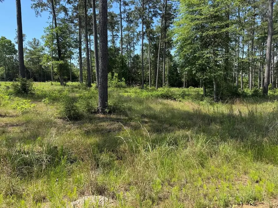 Lot 010 Private Rd 6028, Brookeland, TX 75931 - #2