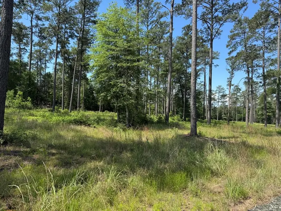 Lot 010 Private Rd 6028, Brookeland, TX 75931 - #3
