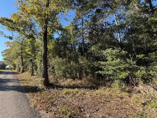 AB20 E Issacs T County Road 355, Jasper, TX 75951 - #1