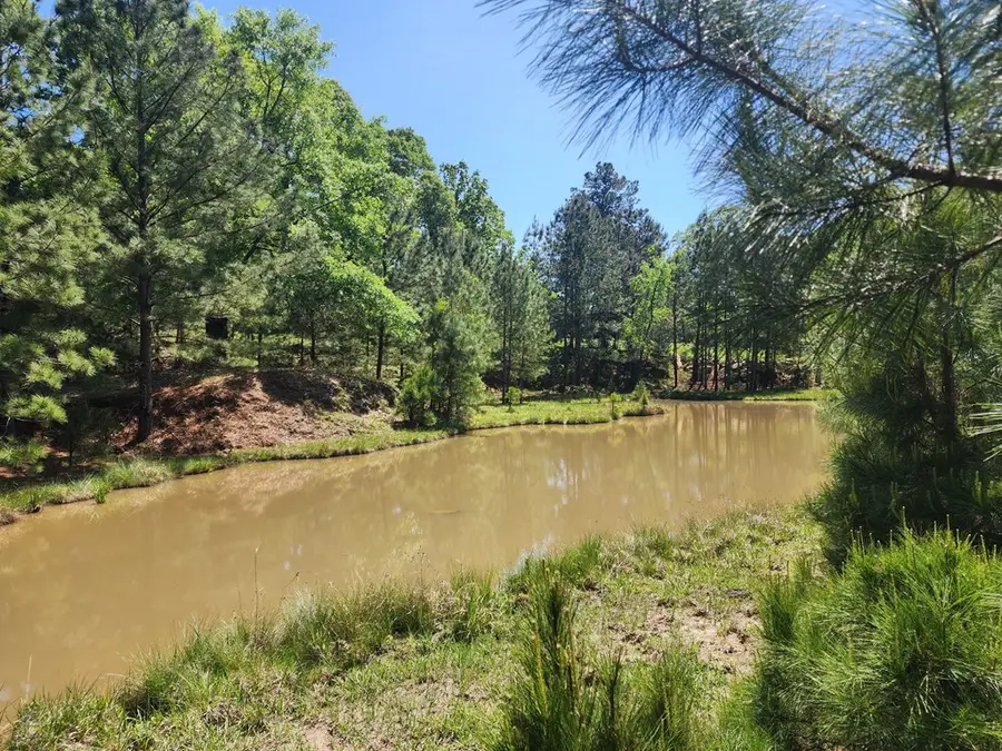 9 AC +/- Rr 255, Jasper, TX 75951 - #2