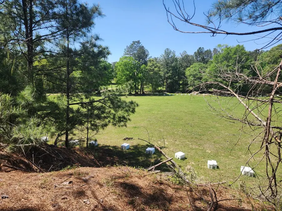 9 AC +/- Rr 255, Jasper, TX 75951 - #3