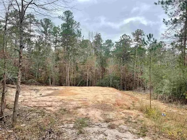 145 Aztec Lane, Brookeland, TX 75931 - #1