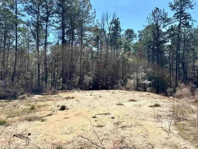 145 Aztec Lane, Brookeland, TX 75931 - #3