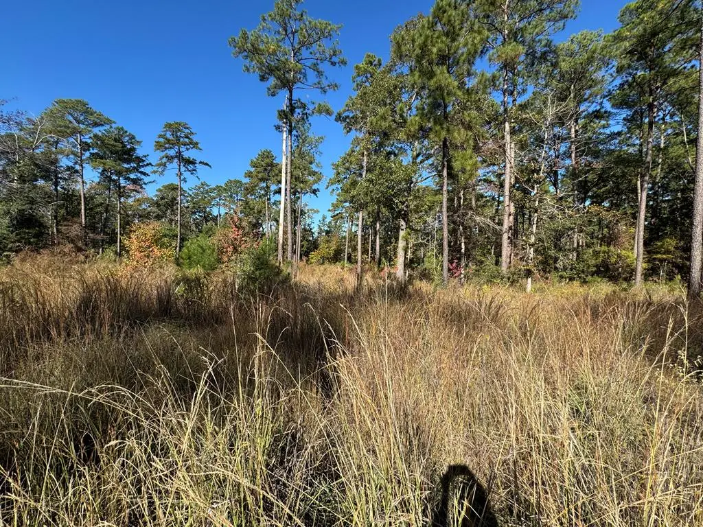 Lot 014 Pr 6028, Brookeland, TX 75931 - #1